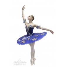 Le Corsaire